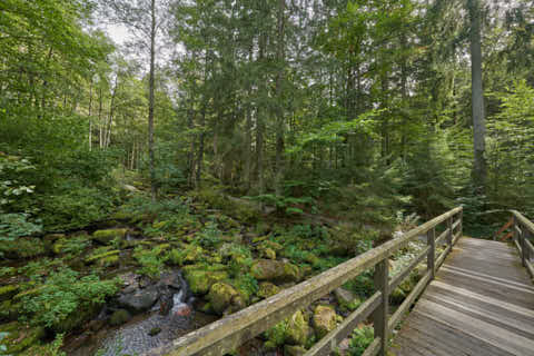 Gemeinde Waldkirchen Landkreis Freyung-Grafenau Saußbachklamm (Dirschl Johann) Deutschland FRG